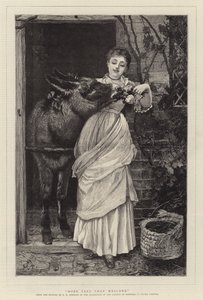 More Free than Welcome by Edward Killingworth Johnson